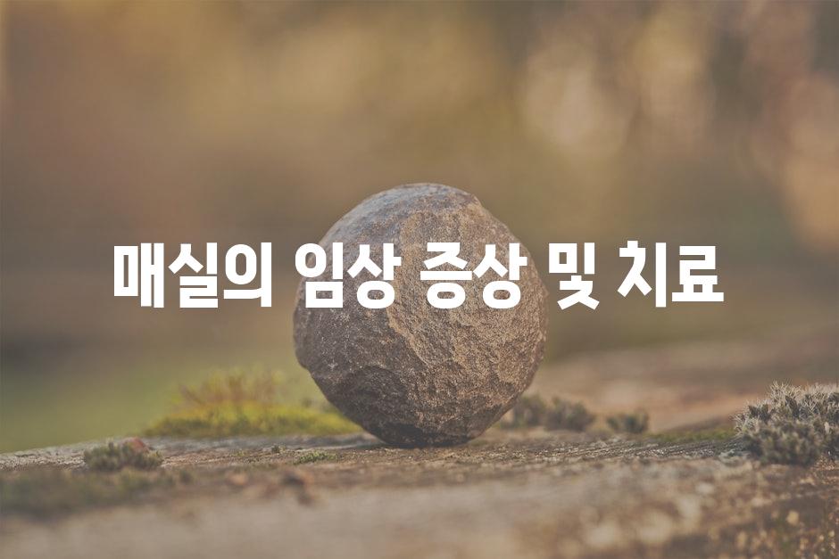 매실의 임상 증상 및 치료