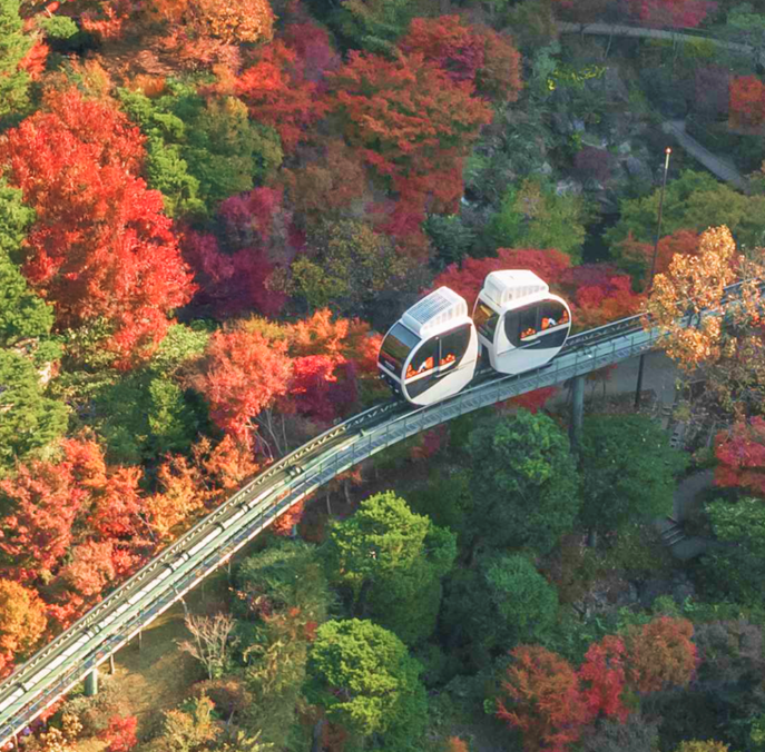 화담숲 모노레일