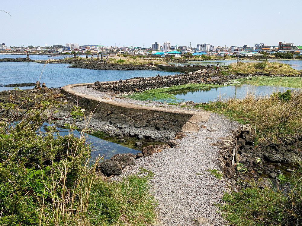 올레길 18코스: 대섬