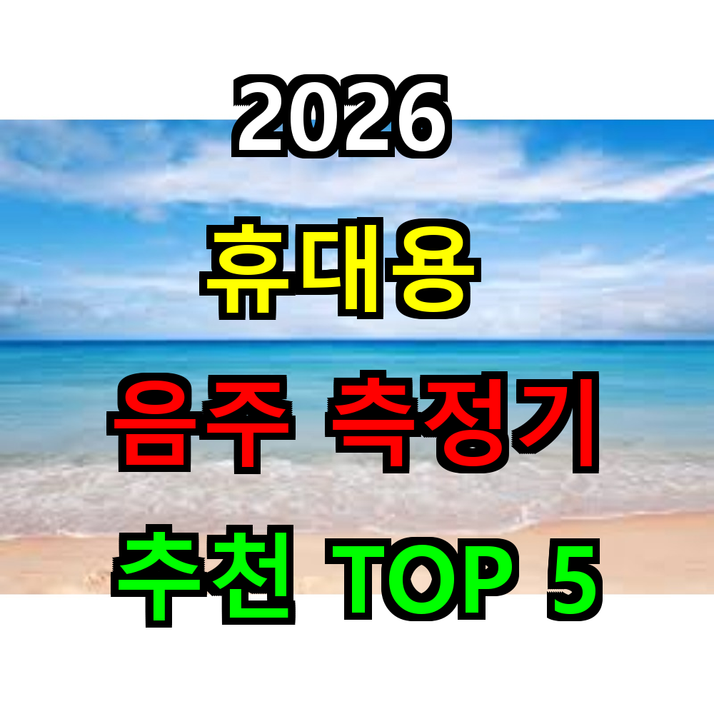2026 음주측정기 추천 TOP 5