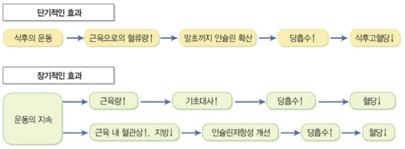 당뇨병 초기증상 및 치료법