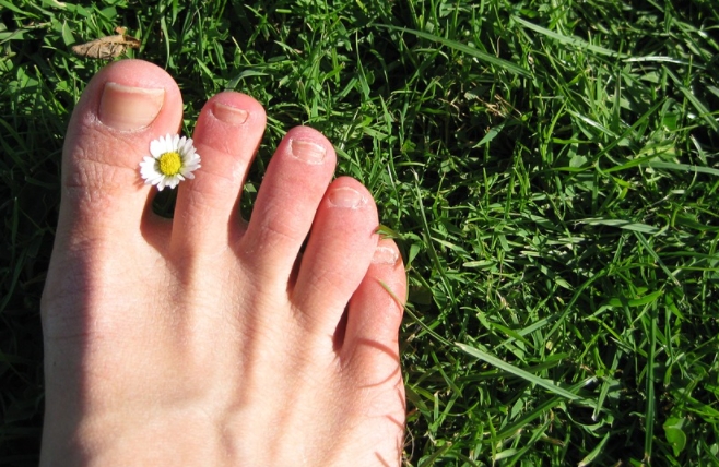 내성발톱 곰팡이