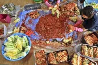 김장 적정 기온 절임 배추 보관 통풍 위치 점검_12