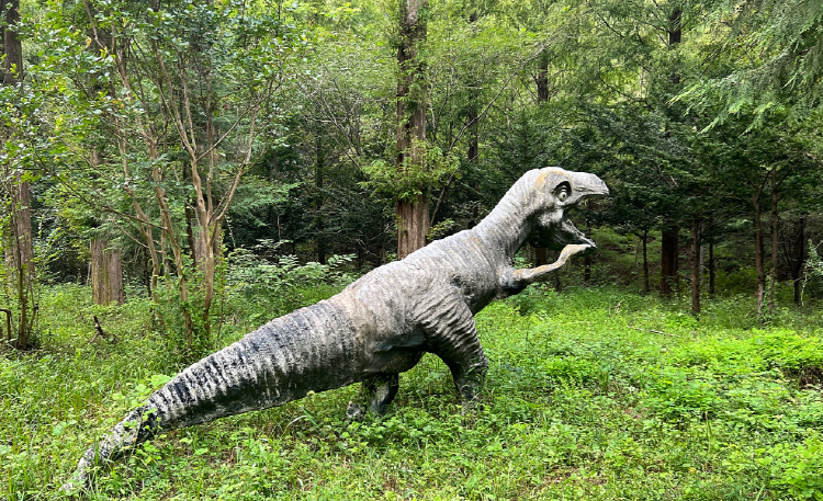 온빛자연휴양림