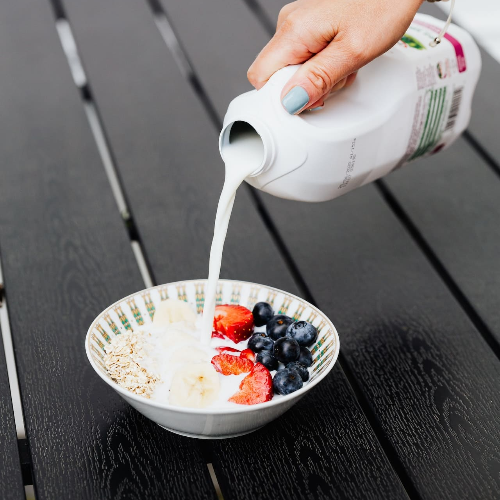 산양유 단백질 분말 효능 섭취방법