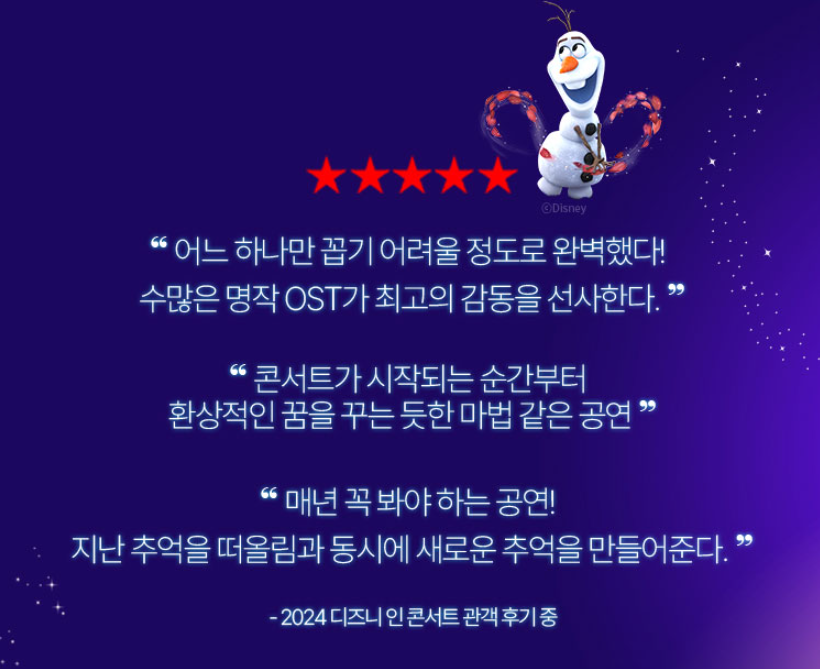 디즈니 인 콘서트 관람후기 이미지