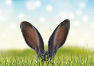 2025년 삼재띠 재물 나이