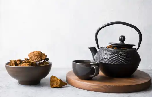 차가버섯 효능효과 영양성분 주의점