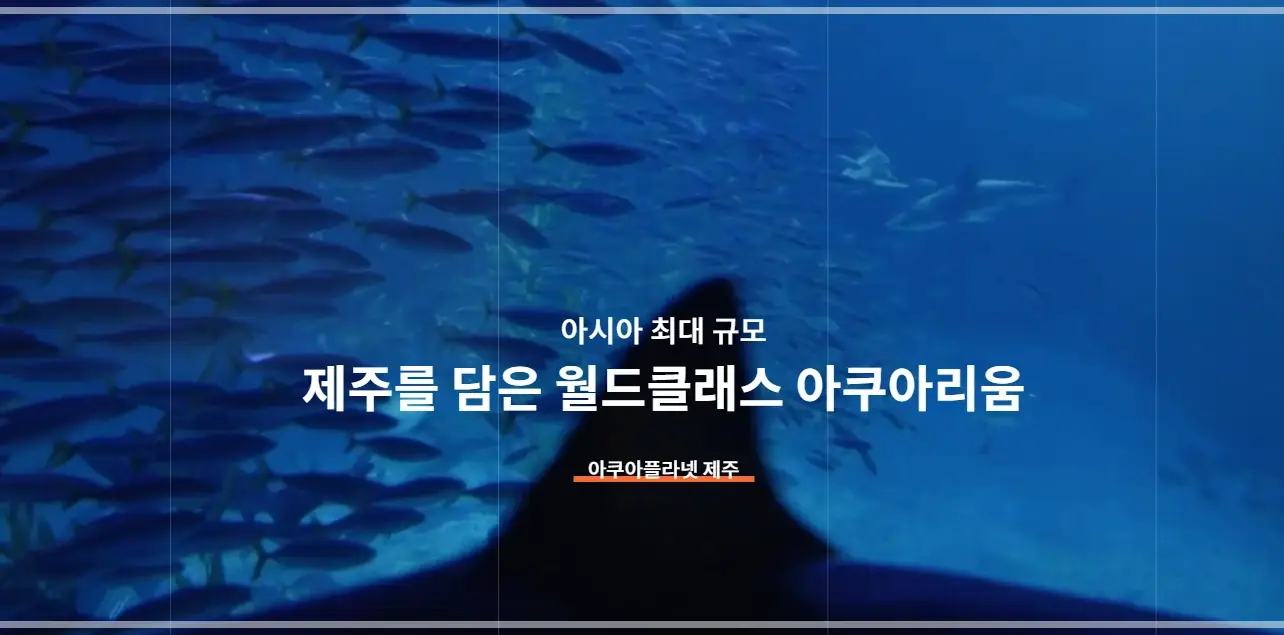제주-아쿠아플라넷-가격-입장료-할인-영업-시간