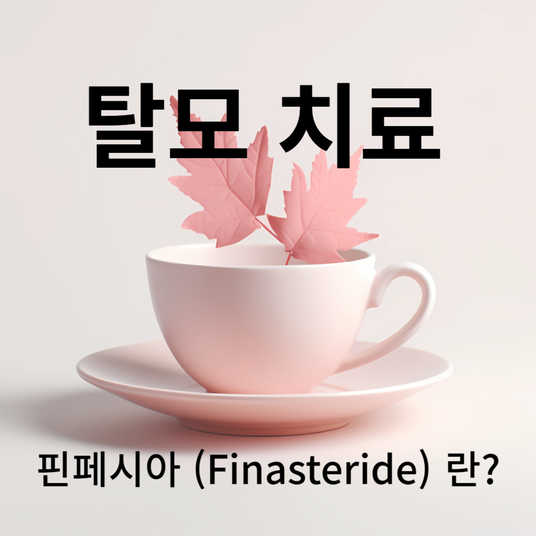 핀페시아 (Finasteride)