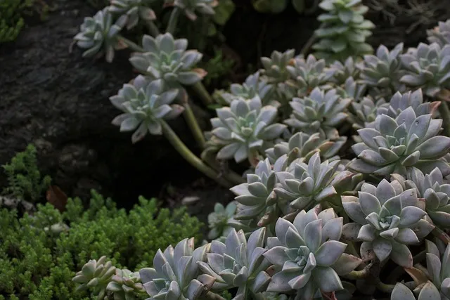 CU 편의점 3월 행사 맥주 1+1_2