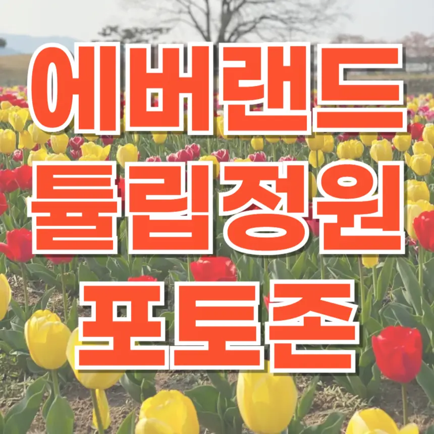 에버랜드 튤립정원 숨겨진 포토존 인생샷 명소