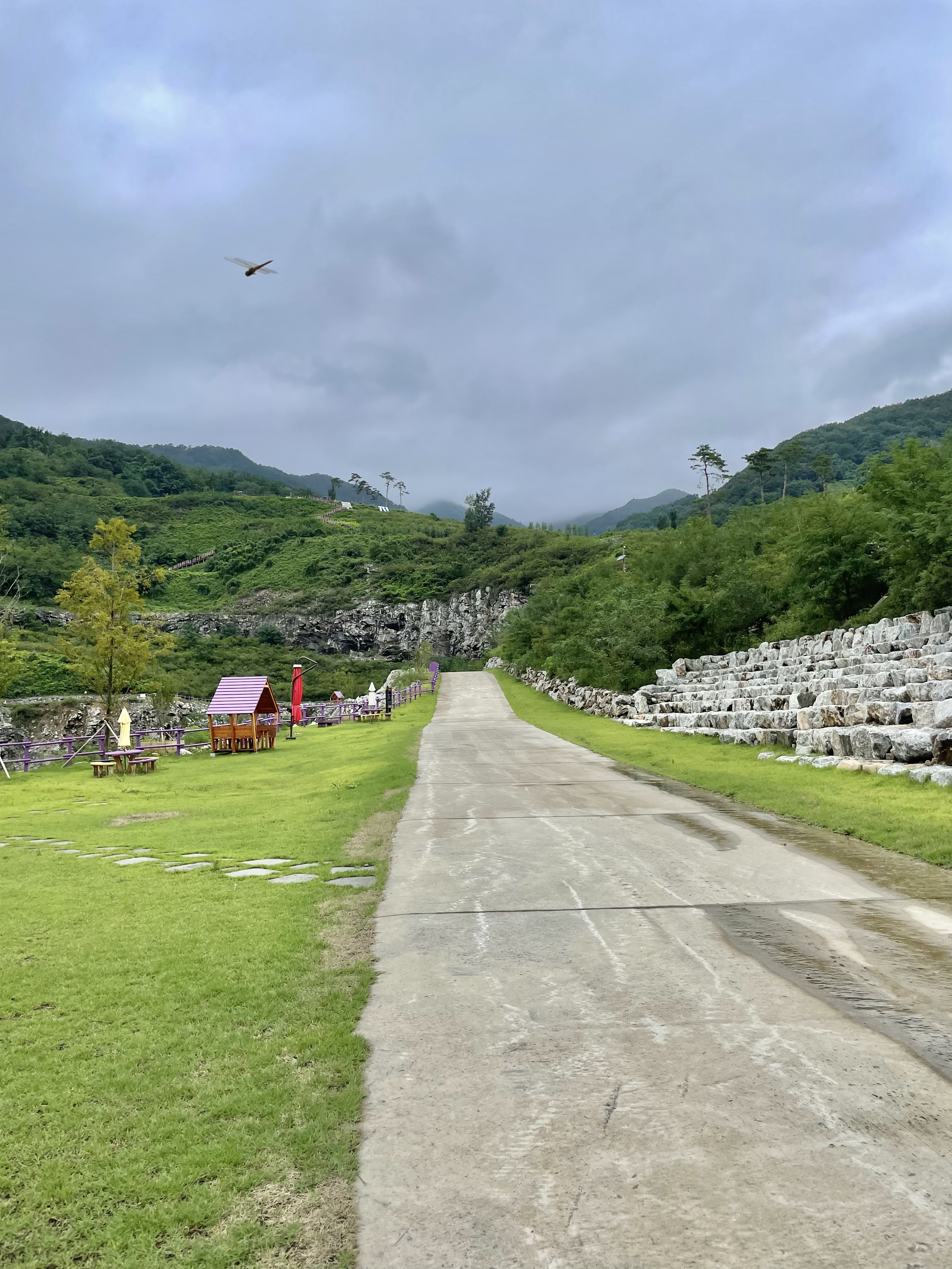 동해 무릉별유천지