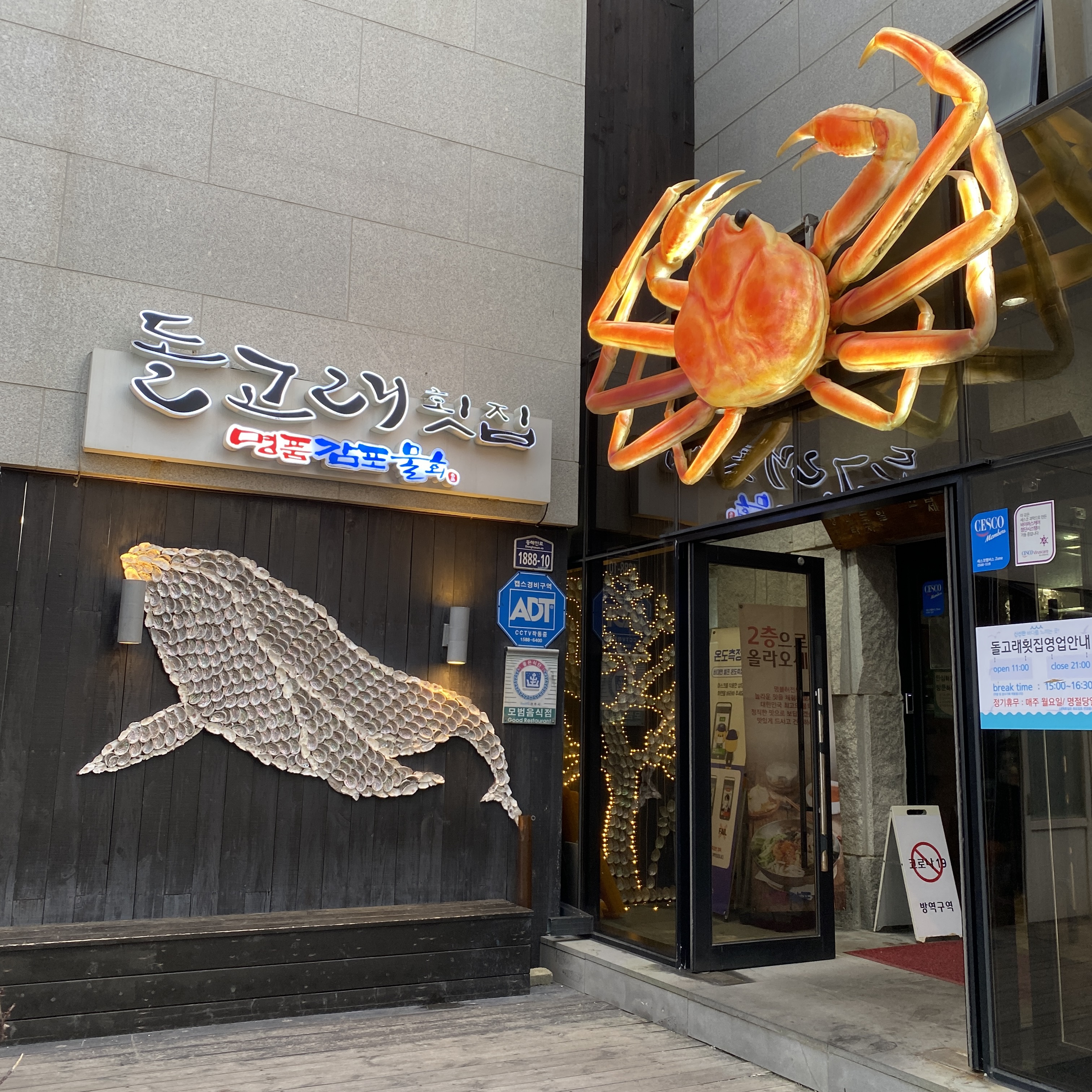 경주 물회 맛집 돌고래횟집