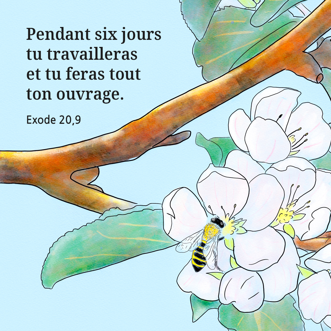 Pendant six jours tu travailleras et tu feras tout ton ouvrage. (Exode 20&#44;9)