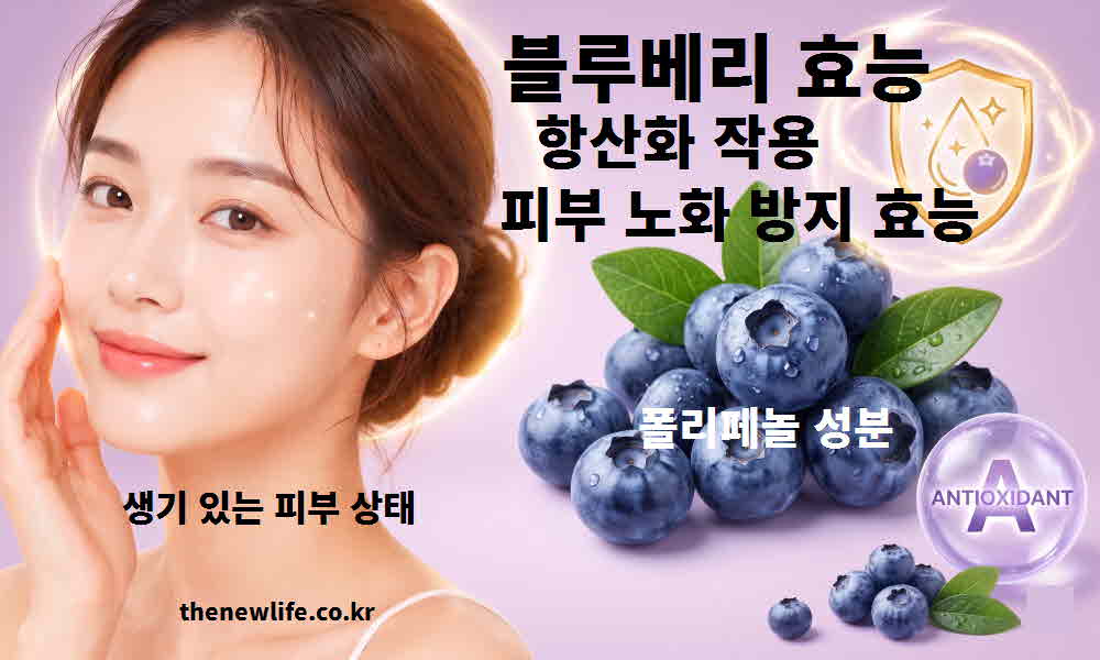 블루베리 효능 항산화 작용 피부 노화 방지