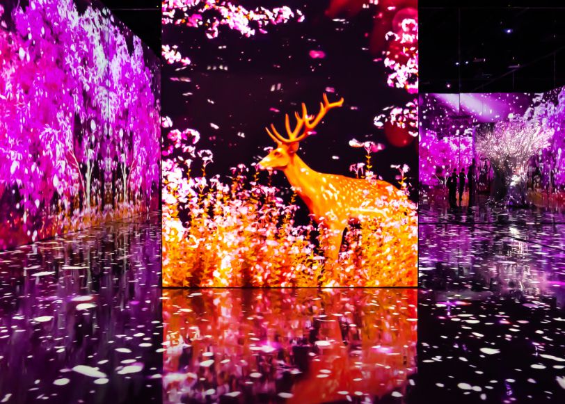 제주도 가볼만한곳 10곳 30선 아이바가든