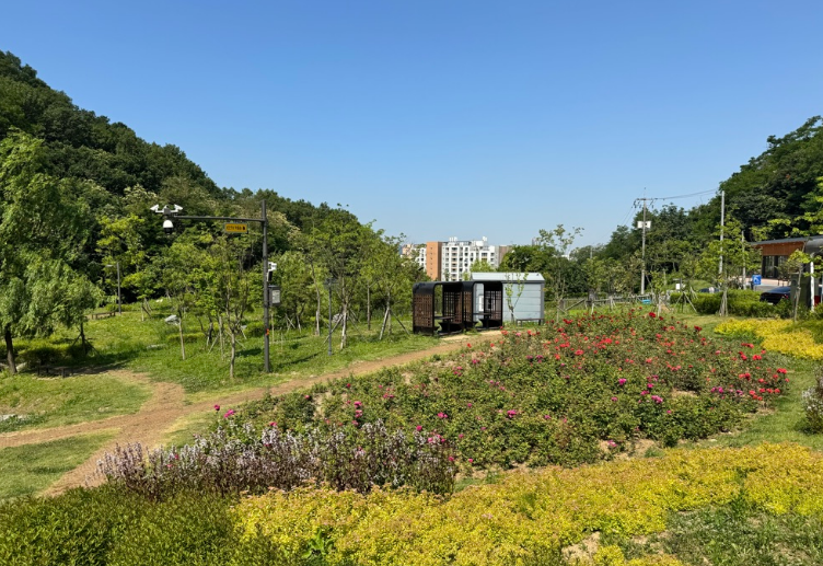 책쉼터 앞 정경입니다.