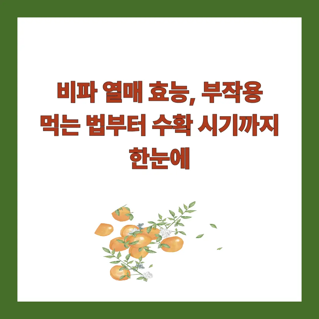 비파-열매