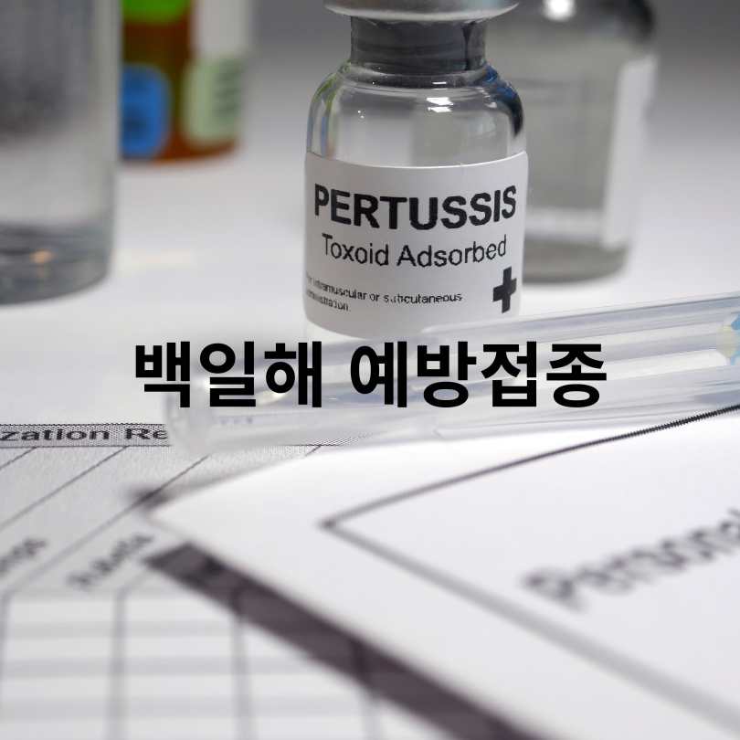 백일해 증상부터 격리기간, 예방접종