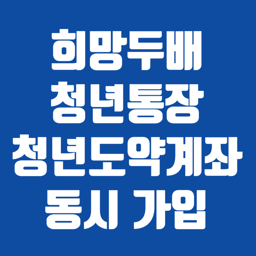 희망두배 청년통장 청년도약계좌 동시 가입