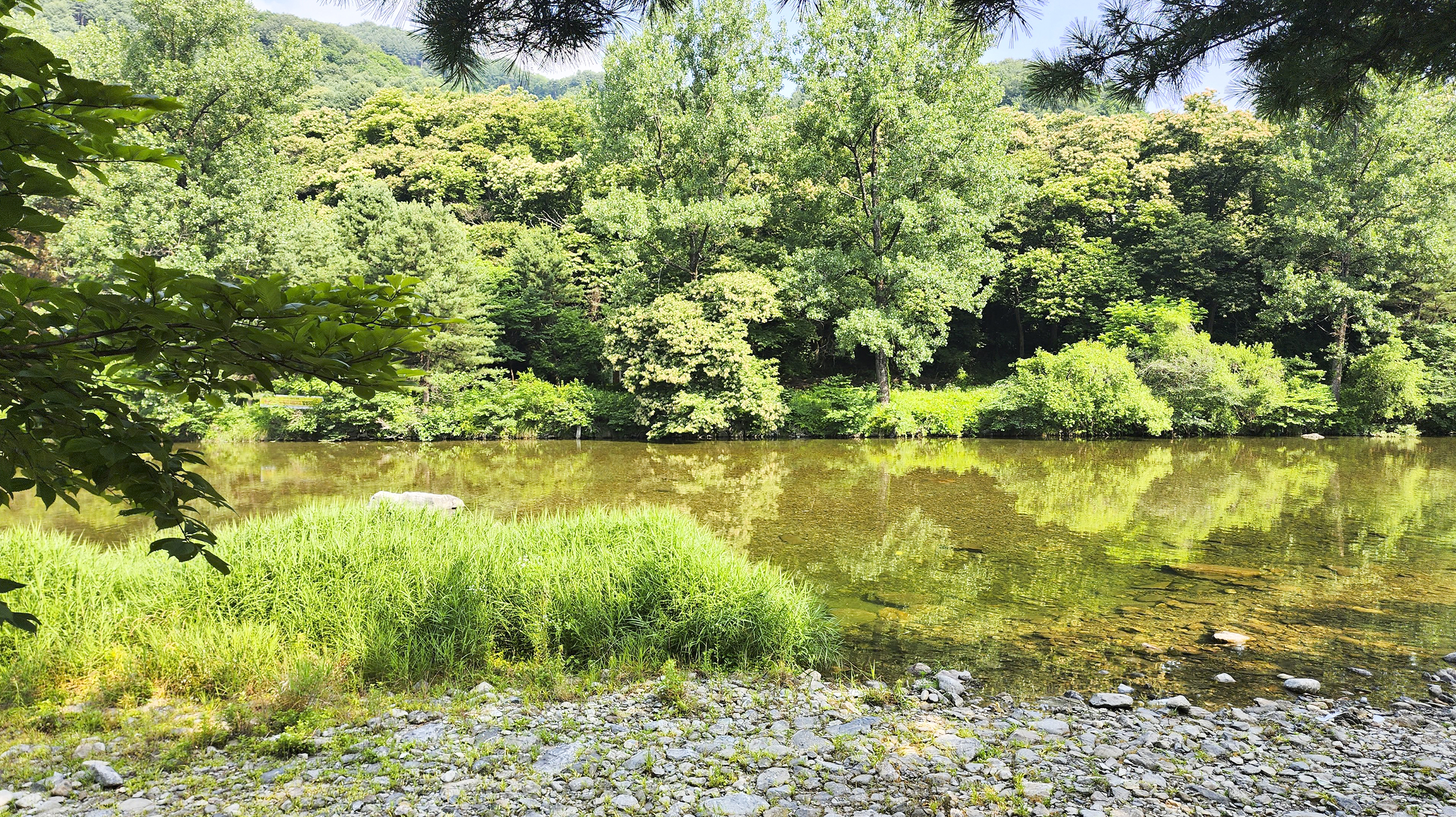 넓은 계곡물이 잔잔히 흐르는 호수유원지 민박
