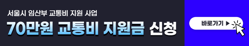 서울시 임산부 교통비 지원 신청, 사용처