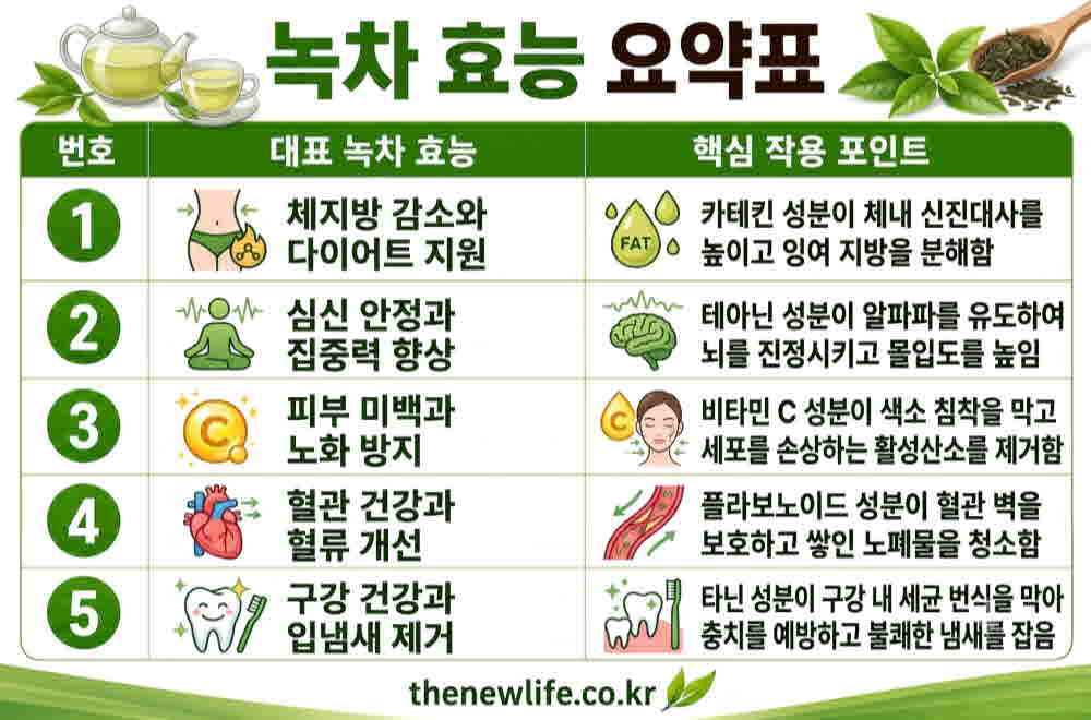 녹차 효능 요약표