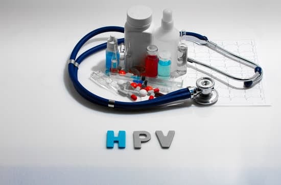 HPV 검사