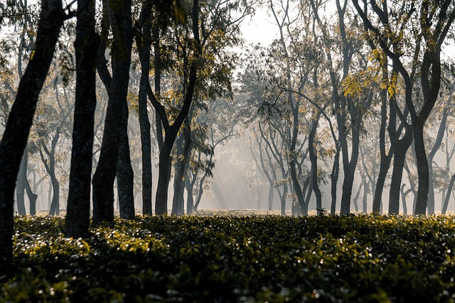 중년 채팅 어플