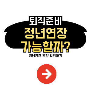 정년연장