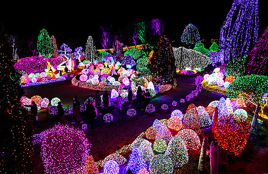 아침고요 수목원 오색별빛 정원전