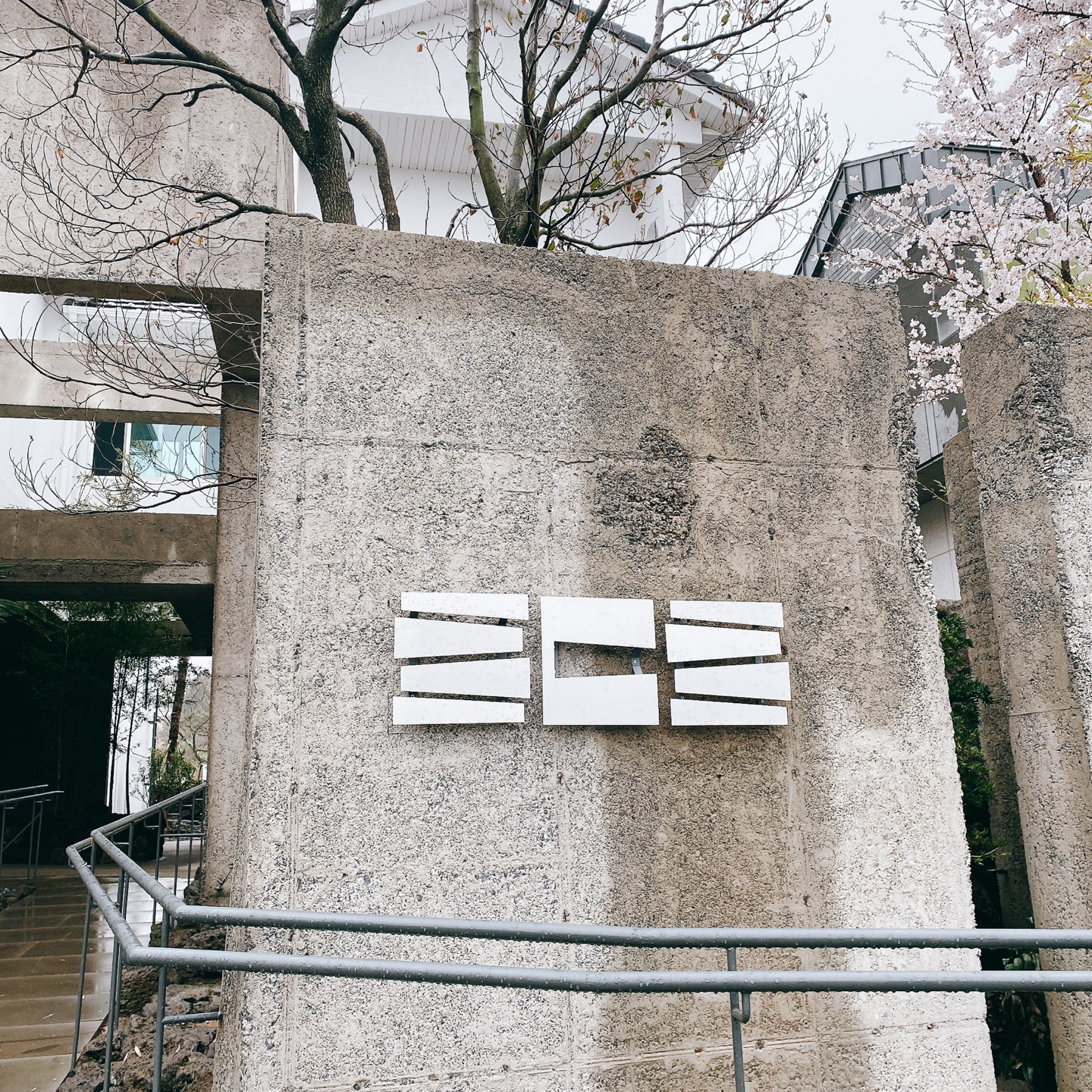 제주 신비마을 도깨비도로 벚꽃명소 레크레 카페