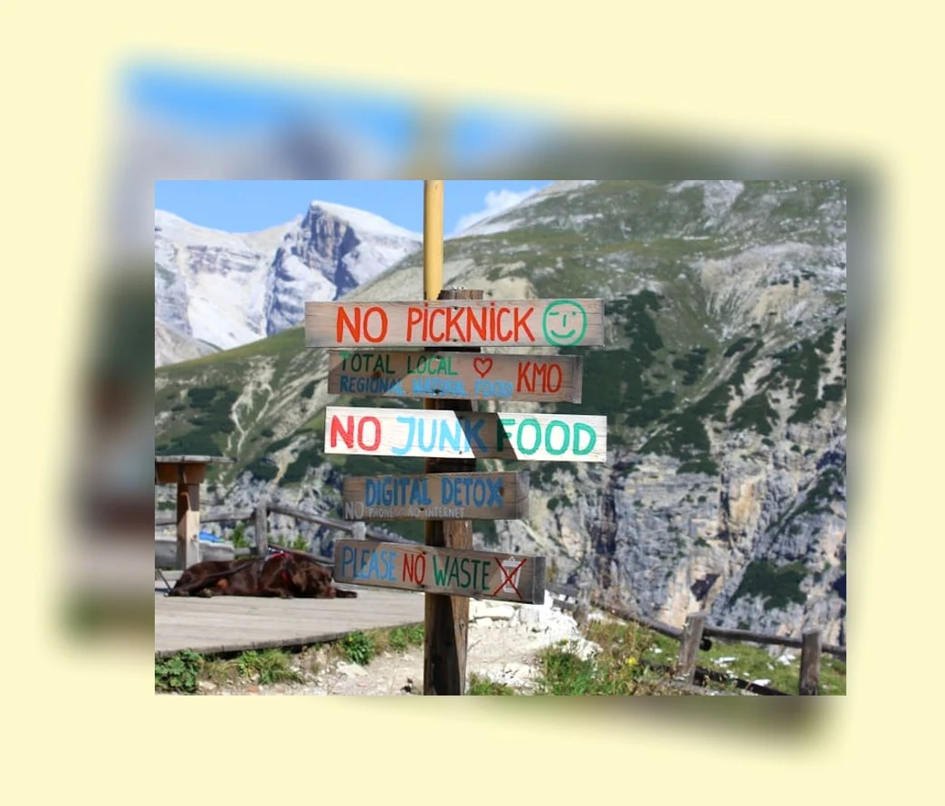 디지털 디톡스_3_subsection