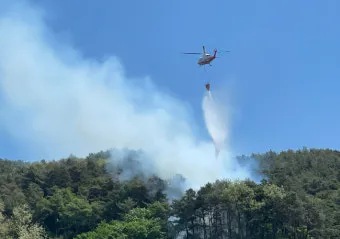 봄철 강풍 꽃가루 농도 알레르기 마스크 관리_26