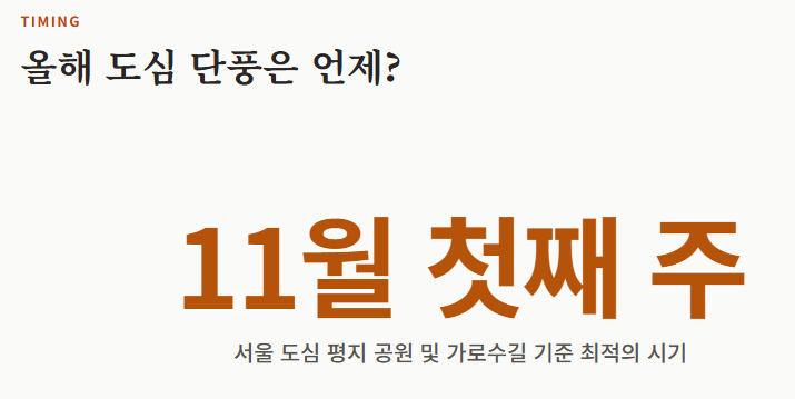 서울 단풍 절정시기