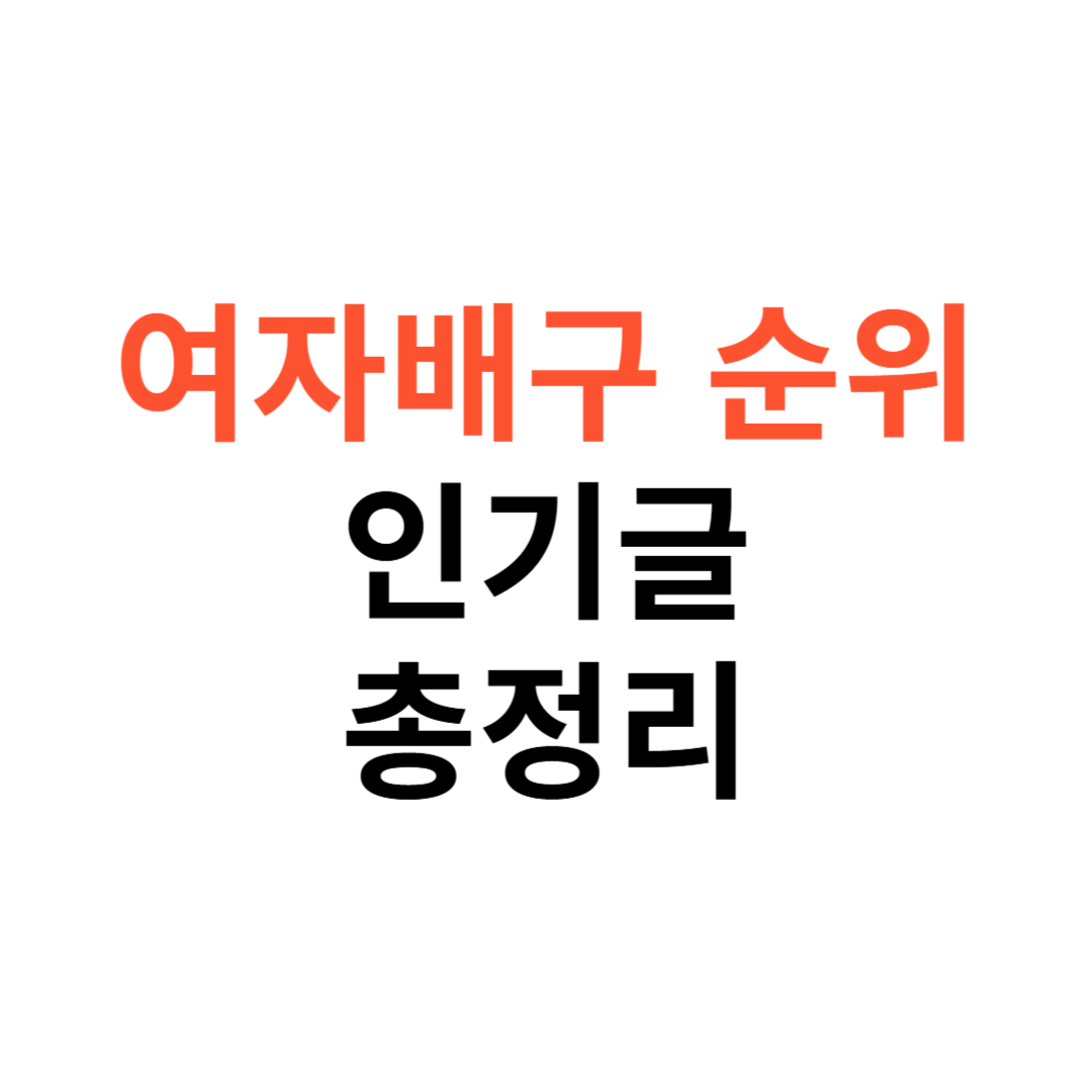 여자배구 순위
