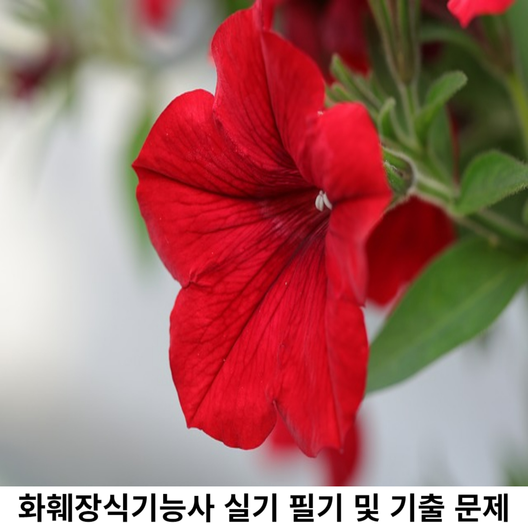 화훼장식기능사 란?