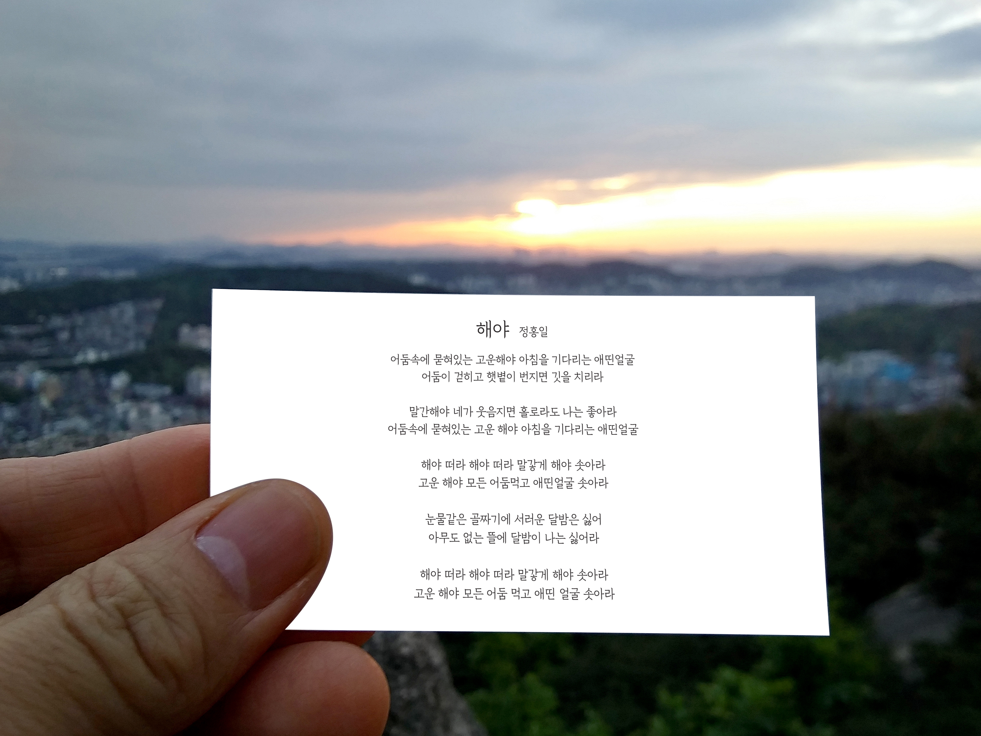 정홍일의 해야
