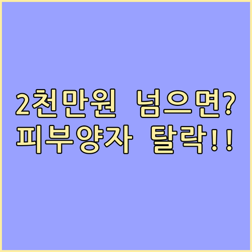 투잡 소득 2,000만원 초과 시 피..