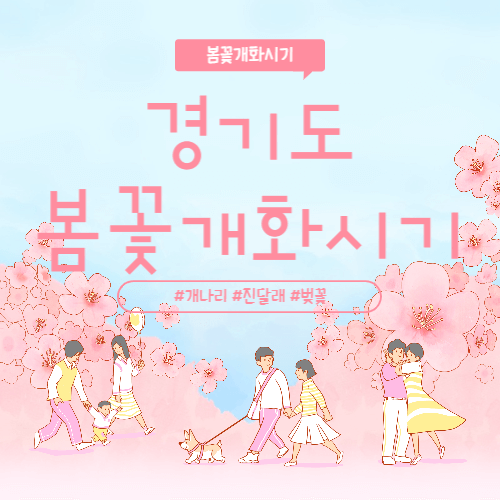 2023 경기도 벚꽃개화시기 진달래 개화시기 개나리개화시기