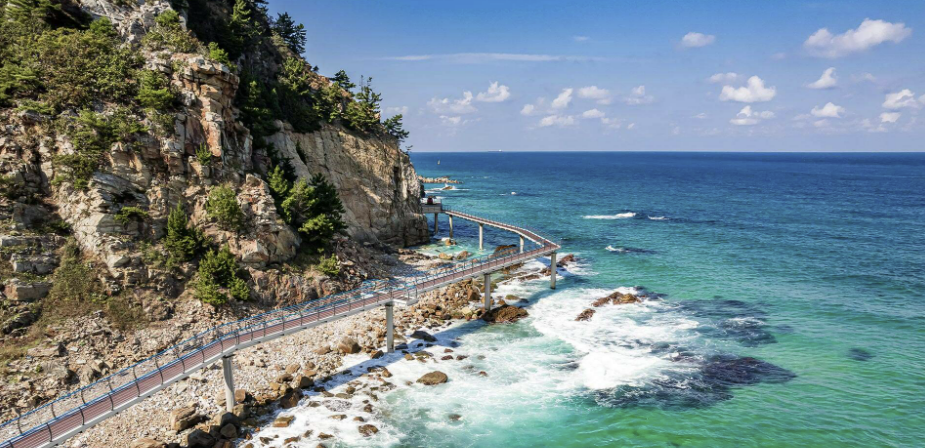 ☀️ 2025년 해수욕장 개장 언제부터? 지역별 일정 한눈에 보기