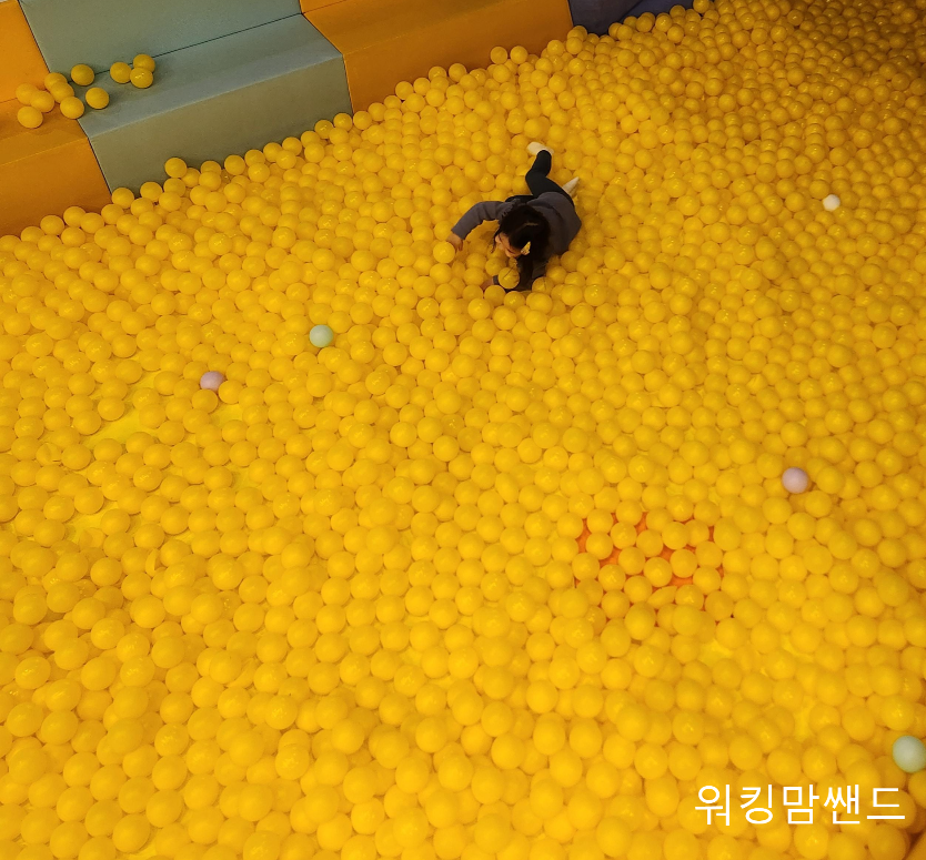 은평 볼베어파크