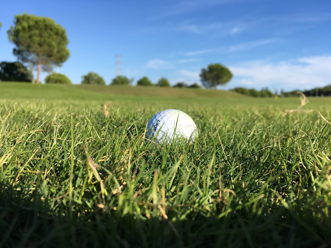 Screen Golf