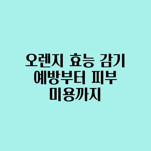 오렌지 효능 감기 예방부터 피부 미용까지