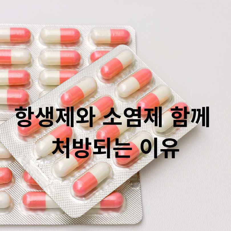 항생제와 소염제 차이 완벽 정리