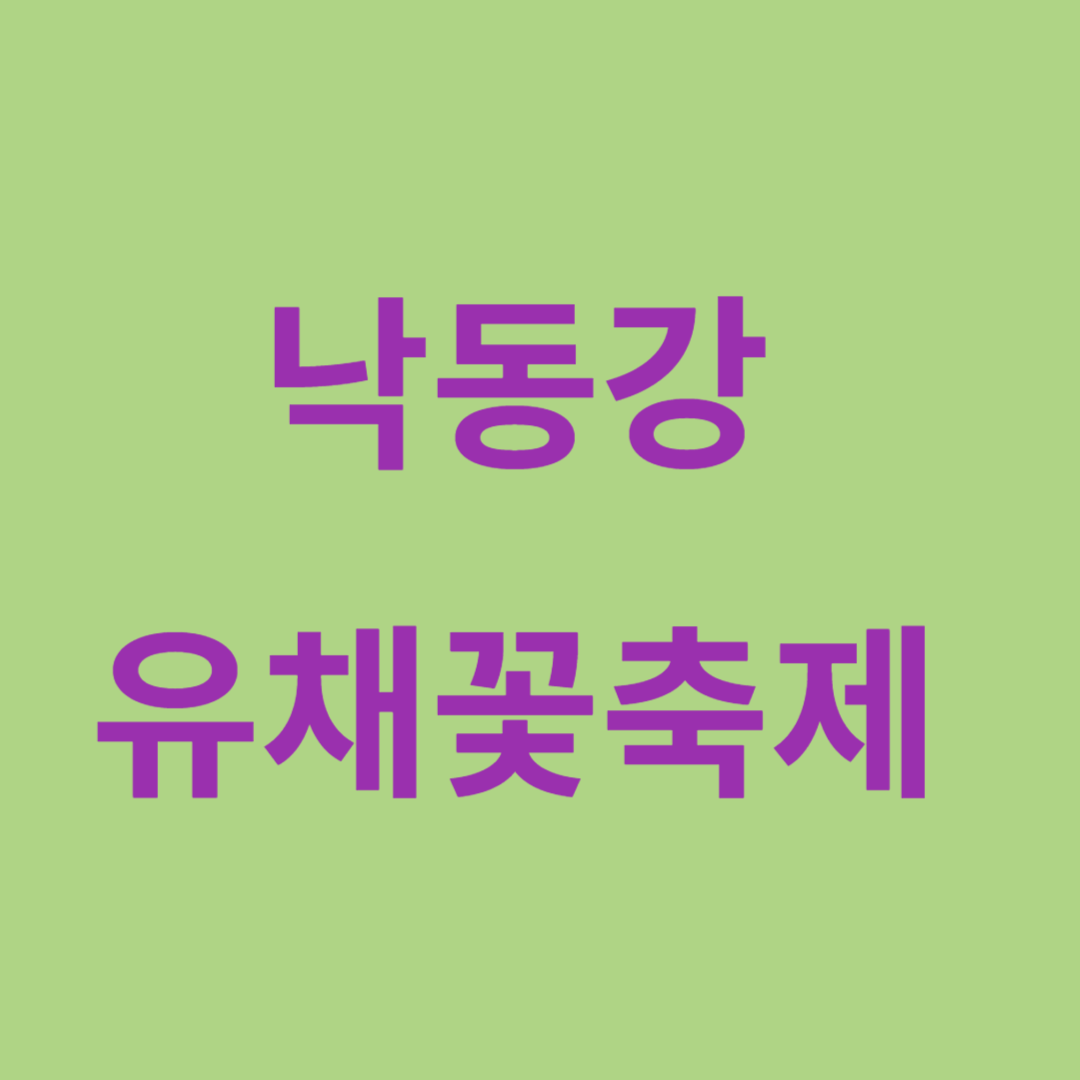 낙동강 유채꽃축제