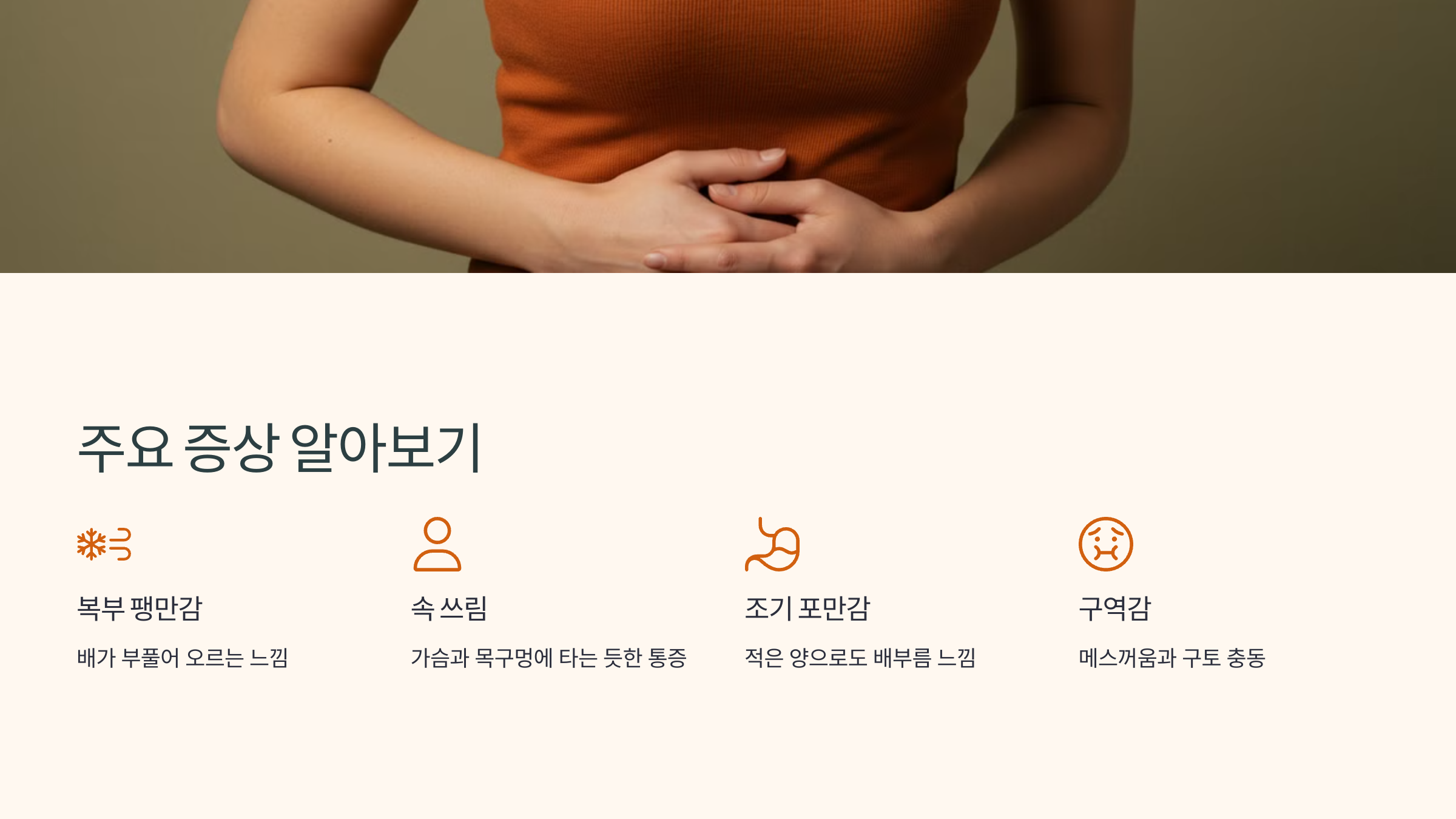 주요 증상