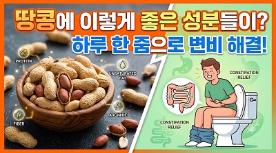 하루 한줌땅콩소개