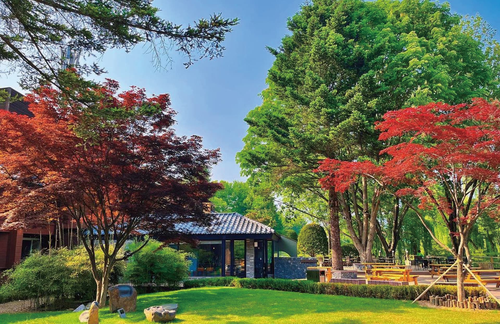 남이섬 정관루 ❘ 한옥 감성 숙소 예약 꿀팁 &amp; 가격, 후기 안내